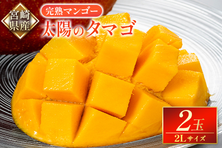 「先行予約」宮崎県産 完熟マンゴー『太陽のタマゴ』2Lサイズ2玉【C338】