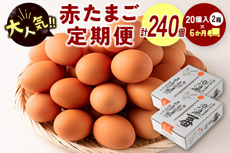 ＜児湯養鶏自慢の卵＞ネッカリッチ赤たまご「児湯一番」 計240個 （20個入×2箱）×6か月定期便【D15】
