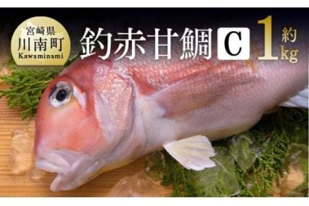 『釣赤甘鯛 C』 【鮮魚 さかな 九州 宮崎 川南町 新鮮 魚介 海の幸 魚介類 たい】