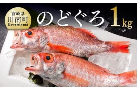 川谷水産厳選！のどぐろ(アカムツ)約1kg【高級魚 鮮魚 新鮮 さかな 海の幸】