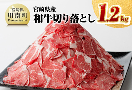  数量限定 宮崎県産和牛切り落とし1.2kg 【牛  国産牛肉 牛 肉 牛 お肉 切落し 牛 牛肉 牛】