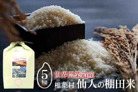 【世界農業遺産】 仙人の棚田米 5kg 椎葉産 米 産地直送