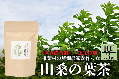 【世界農業遺産の産物】焼畑農家がつくった山桑の葉茶 ティーバック 10パック×3袋【桑茶】