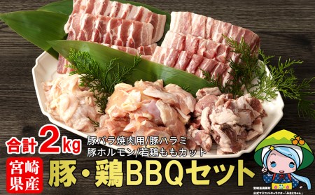 宮崎県産豚・鶏バーベキューセット合計2kg