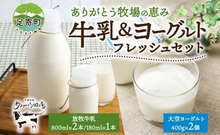 北海道 放牧牛乳＆ヨーグルト 牛乳 ヨーグルト 生乳 ミルク 濃厚 さっぱり まろやか 酪農 放牧 国産 無農薬 化学肥料不使用 道産飲料100% 健康 冷蔵 ありがとう牧場 送料無料
