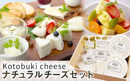 kotobuki cheese ナチュラルチーズセット 901-1