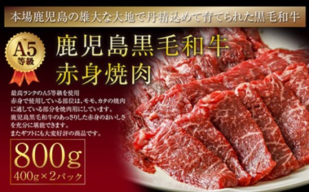 1009-1 黒毛和牛【A5等級】赤身焼肉800g