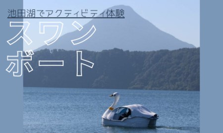 【池田湖でアクティビティ体験】スワンボート 60分間1台レンタル(えぷろんはうす池田/A-179)