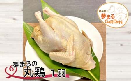 種子島 夢まるガーデン 丸鶏 平飼い (1羽)　NFN449 【375pt】