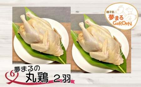 種子島 夢まるガーデン 丸鶏 平飼い (2羽)　NFN450 【725pt】