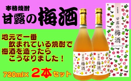 甘露の梅酒　(720ｍｌ)×2本　300pt　NFN158
