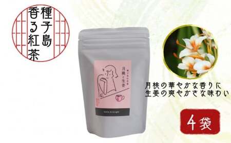 種子島 松寿園 香る 紅茶 フレーバーティー 「 月桃 と 生姜 」 4袋　NFN524 【300pt】