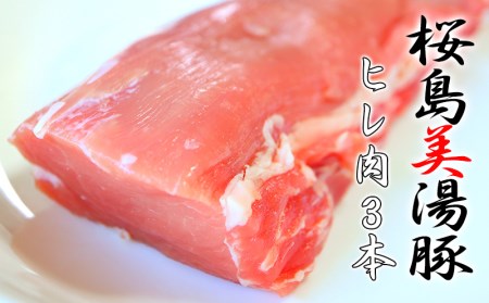 B2-3072／桜島美湯豚　ヒレ肉×3本
