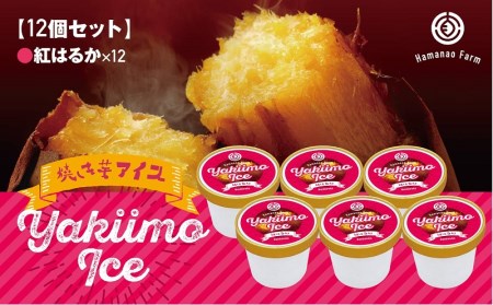 B2-5406／焼き芋アイス 紅はるか(12カップ)