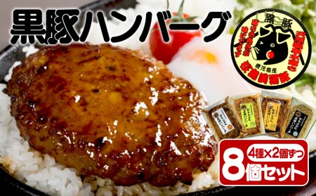 B2-3065／【黒豚】桜島美湯豚ハンバーグ（4種ミックス）150g×8個