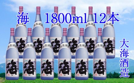 J13-2534／大海酒造 海 1800ml 12本セット