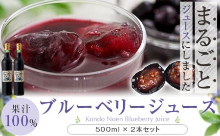 BS-602 【数量限定】ブルーベリージュース果汁100％ 500g×2本 (B-23)