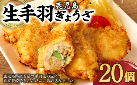 AS-713 鹿児島生 手羽ぎょうざ (20本) 餃子のタレ付き 餃子 ギョーザ