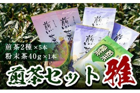 No.014 煎茶セット(雅)【世献 榎園製茶】