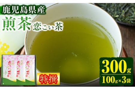 No.407 ＜鹿児島県産＞特撰煎茶(100g×3袋セット 計300g) 【末永(清)製茶】