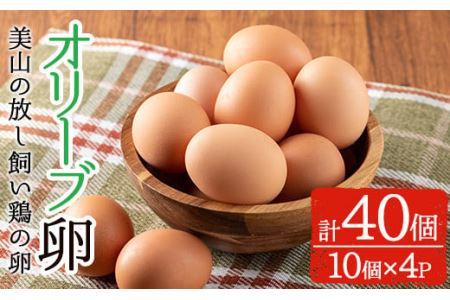 No.780 鹿児島県産美山オリーブ卵(計40個・10個入×4P)【美山たまご王国】