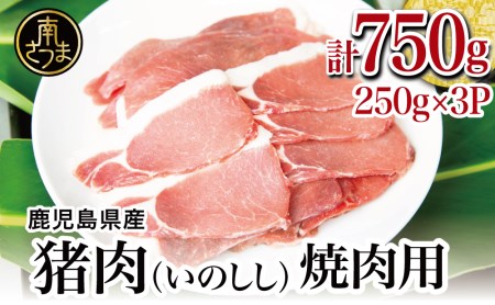 【南さつまジビエ】鹿児島県南さつま産 猪（いのしし）肉　焼肉用 750g（250g×3P）