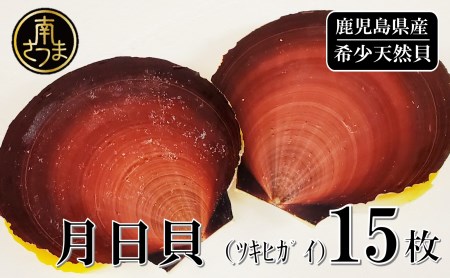 【数量限定】希少 鹿児島特産 月日貝15枚 （加熱用） 海鮮 貝 BBQ バター焼き 冷凍 ヤマチョウ 南さつま市