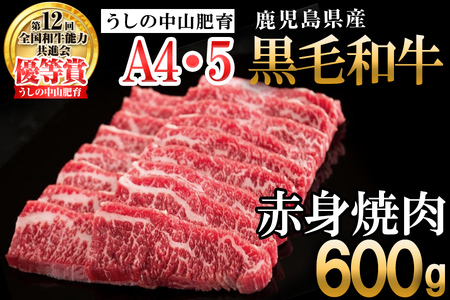 【数量限定】鹿児島県産 A4・A5等級うしの中山黒毛和牛赤身焼肉用600g a5-263