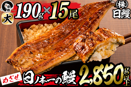 日ノ本一の鰻の蒲焼き＜大＞計15尾セット(計2,850g以上) wa24-006