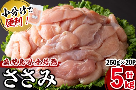 【2024年5月発送予定】小分けで便利！鹿児島県産若鶏ささみ 計5kg(250g×20P) a5-258-2405