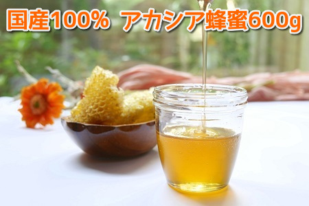 054-16 純粋国産100％アカシア蜂蜜600g