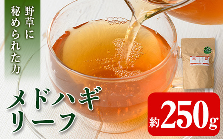 isa468 メドハギ茶 (リーフ250g)鹿児島 メドハギ茶 お茶 健康茶 茶 ティー 薬草【やさしいまち】