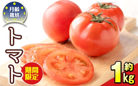 s471 《期間限定》月齢栽培で育てたトマト「月齢栽培トマト」(約1kg)鹿児島 国産 九州産 野菜 トマト とまと【上市農園】