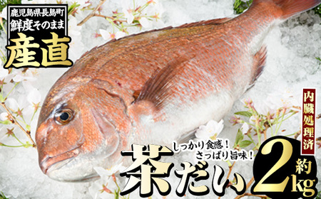 茶鯛 1尾 (約2kg)【ウスイ】usui-1034