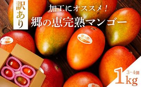 【訳あり】1kg 大崎完熟マンゴー「郷の恵（さとのめぐみ）」加工用マンゴー（糖度10度前後）