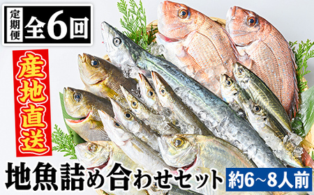 【E09001】魚屋さんの選んだ新鮮お魚詰め合わせ（約6~8人分）［6回定期便］