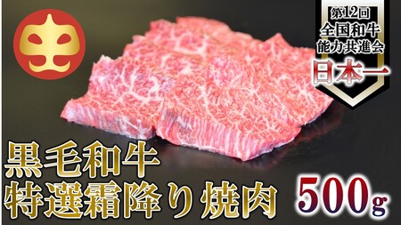 【うしの中山】 霜降り 焼肉用 500g(日付指定不可)