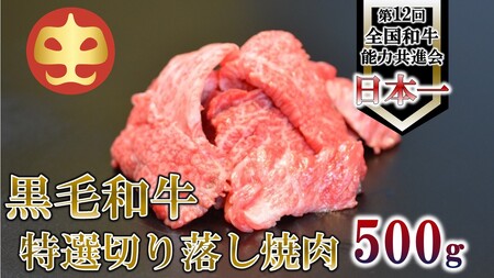 【うしの中山】 切り落とし 焼肉用 500g(日付指定不可)