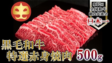 【うしの中山】 赤身 焼肉用500g(日付指定不可)