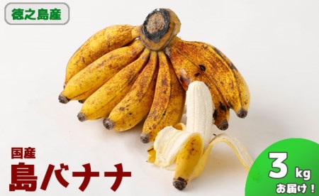 【鹿児島県天城町】徳之島子宝バナナ 3kg 島バナナ バナナ  AL-10-N