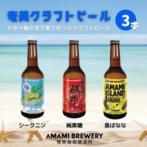 奄美クラフトビール 3本入り 地ビール【配送不可地域：離島】【1432327】
