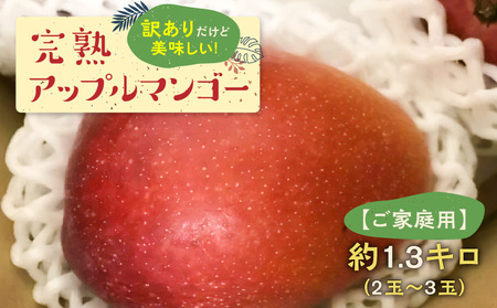 【W009-085u】【先行受付】(ご家庭用)美味しい！完熟アップルマンゴー 約1.３キロ　２玉～３玉【７月初旬～８月下旬発送】