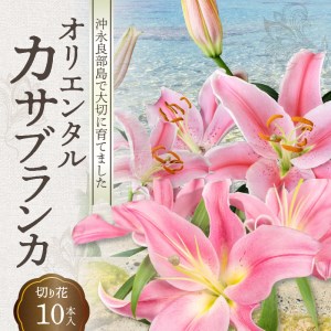 沖永良部島で大切に育てられた　オリエンタル・カサブランカの花セット