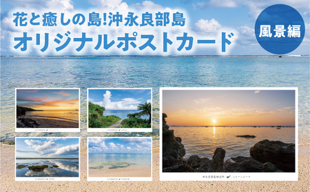 【W060-001u】花と癒しの島！沖永良部島オリジナルポストカード（風景編）