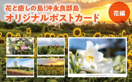 【W060-002u】花と癒しの島！沖永良部島オリジナルポストカード（花編）