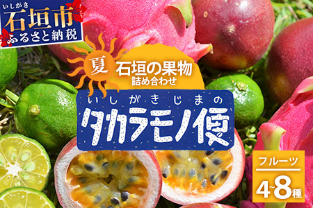 石垣島の夏「果物」詰め合わせ～夏のタカラモノ果物便～　SH-5