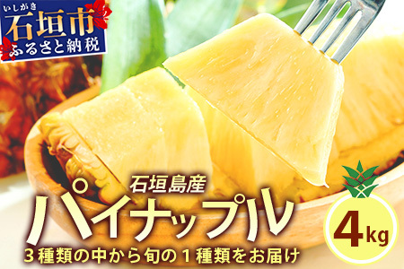 【訳あり】 石垣島産パイナップル4～10個 約4kg KP-15