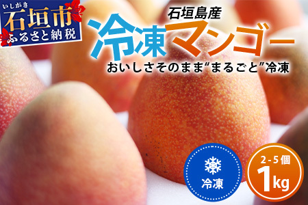 【先行予約】石垣島産まるごと冷凍マンゴー　2～5個 約1kg EF-7