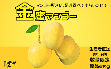 【2024年 先行予約 数量限定】マンゴー好きに食べてもらいたい！金蜜マンゴー 優品2kg 生産者直送