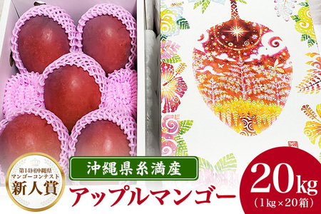【2024年発送】沖縄県糸満産の「濃厚アップルマンゴー」20kg！（1kg×20箱）生産者：ゆいぐくるマンゴー